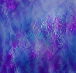 Similar image 21997278