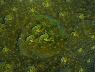 Similar image 22004945