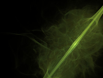 Similar image 22005355