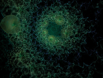 Similar image 22005357