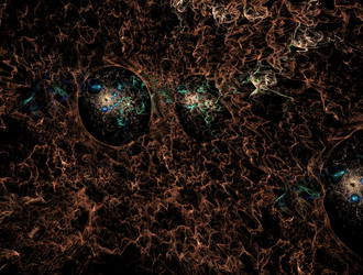 Similar image 22004967