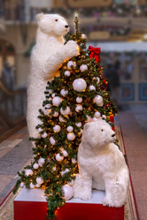 Similar image 21997312