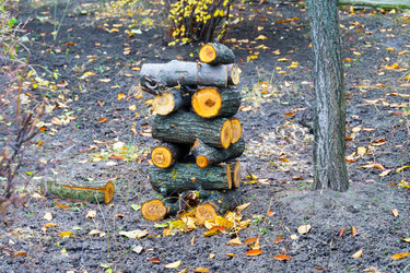 Similar image 21998021