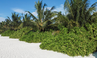 Similar image 22012483