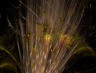 Similar image 22010584