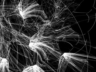 Similar image 22005009