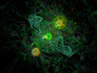 Similar image 22010592