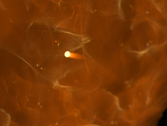 Similar image 22010595