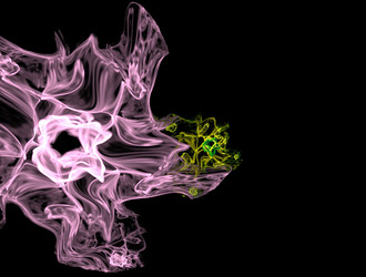 Similar image 22005015