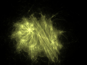 Similar image 22005020