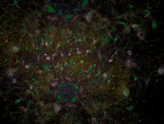 Similar image 22005021