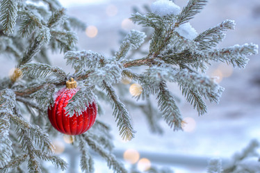 Similar image 21997327