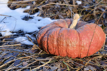 Similar image 21995556