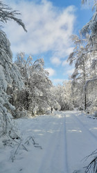 Similar image 21995560