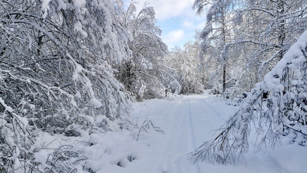 Similar image 21995564