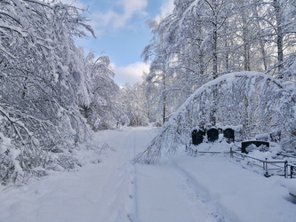 Similar image 21995565