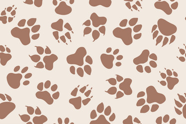 Similar image 22014917