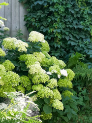 Similar image 21995069