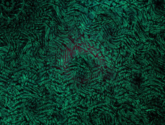 Similar image 22010613