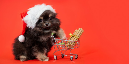 Similar image 22006135