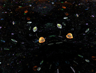 Similar image 22018217