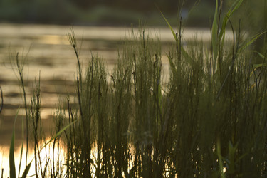 Similar image 21995833