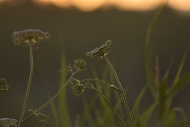 Similar image 21995834