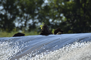 Similar image 21995836