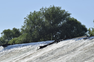 Similar image 21995837