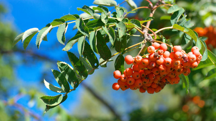 Similar image 22002436