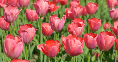 Similar image 22002438