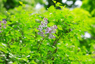 Similar image 22002524