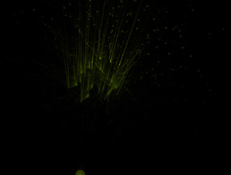 Similar image 22011387