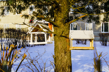 Similar image 22001904