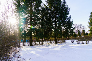 Similar image 22001905