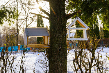 Similar image 22001906