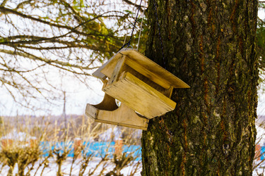 Similar image 22001907