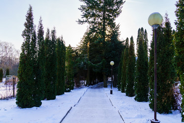 Similar image 22002295