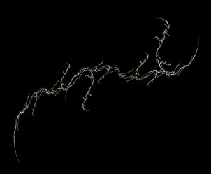 Similar image 22002448