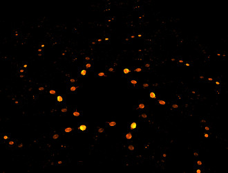 Similar image 22005090