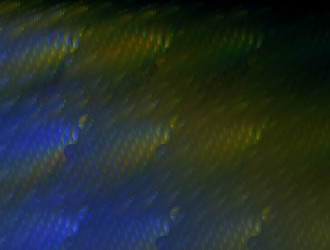 Similar image 22005174