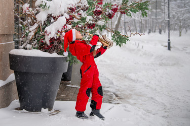 Similar image 22006137