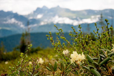 Similar image 21993575