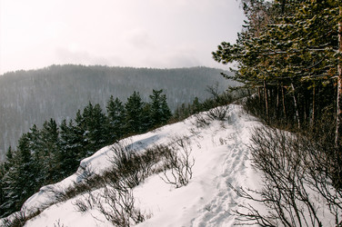 Similar image 21992908