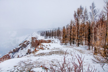 Similar image 21992909