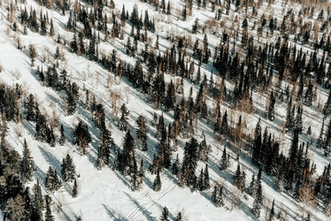 Similar image 21992937