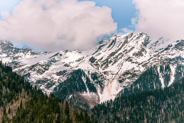 Similar image 21993236