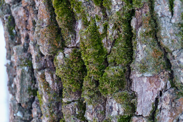 Similar image 22002640