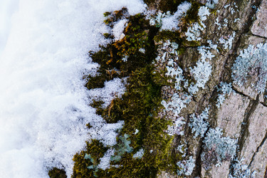 Similar image 22002642