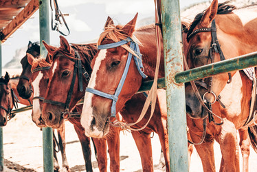 Similar image 21993258